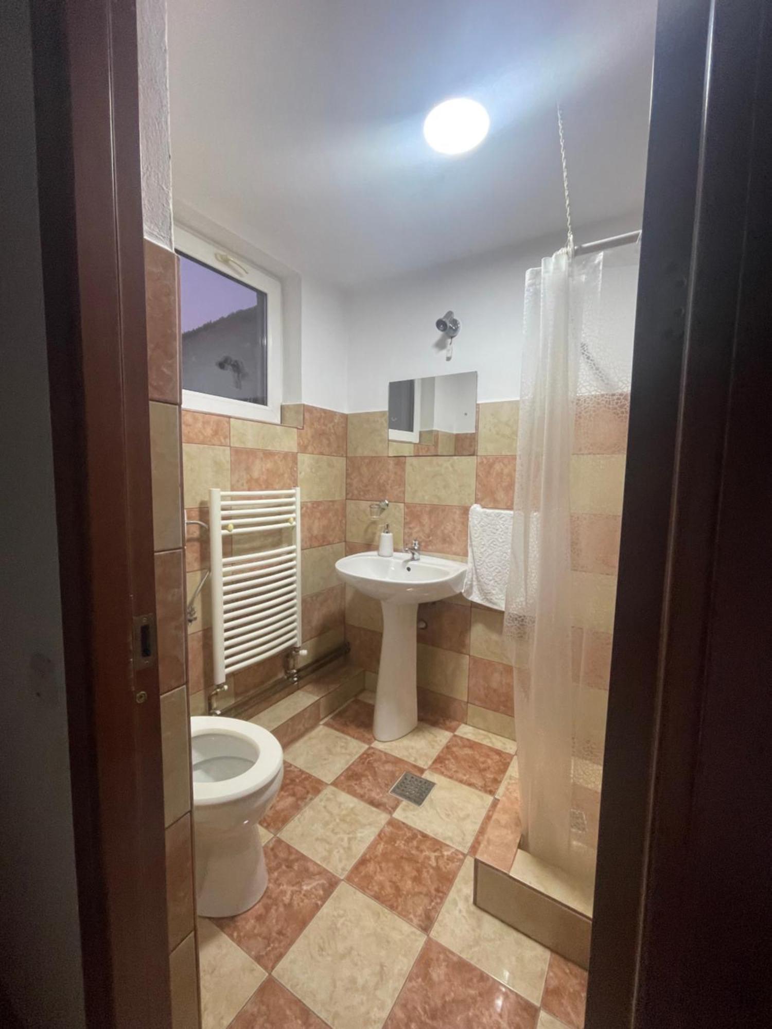 Pensiunea Vatafu Gura Raului Bagian luar foto