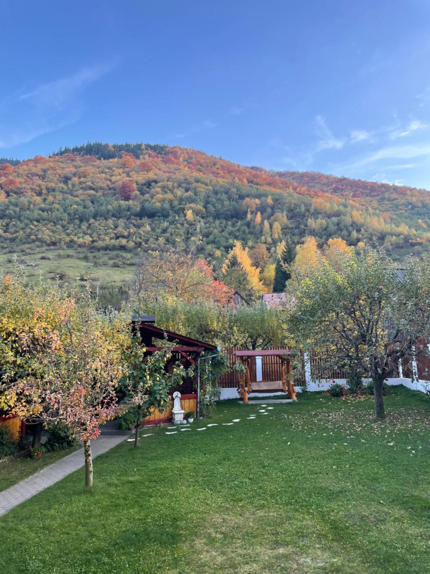 Pensiunea Vatafu Gura Raului Bagian luar foto