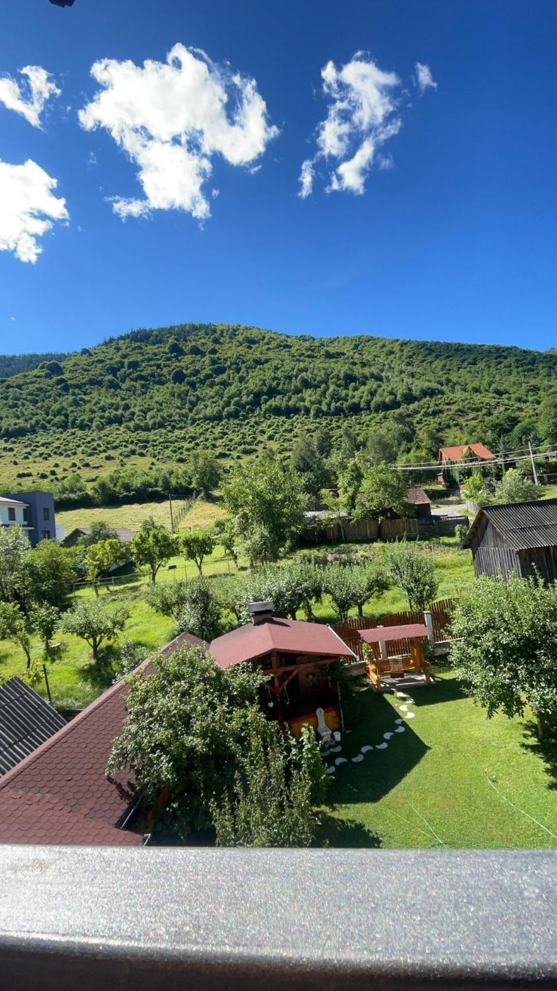 Pensiunea Vatafu Gura Raului Bagian luar foto